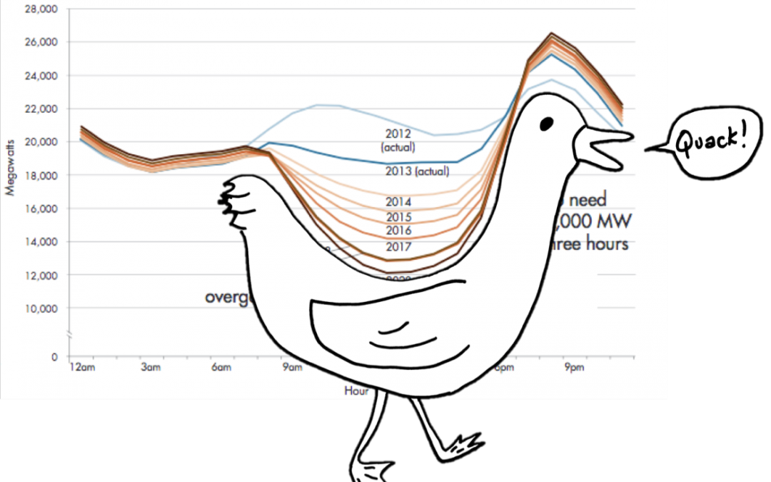 Intersolar 2016 “Duck Curve”